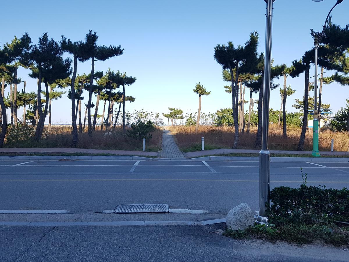 Pine Beach Янъян Экстерьер фото